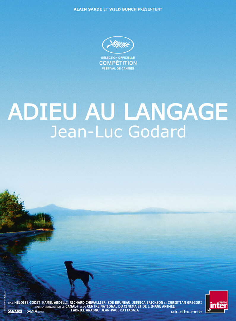 Adieu au langage (3D)