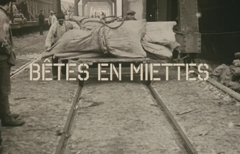 Bêtes en miettes