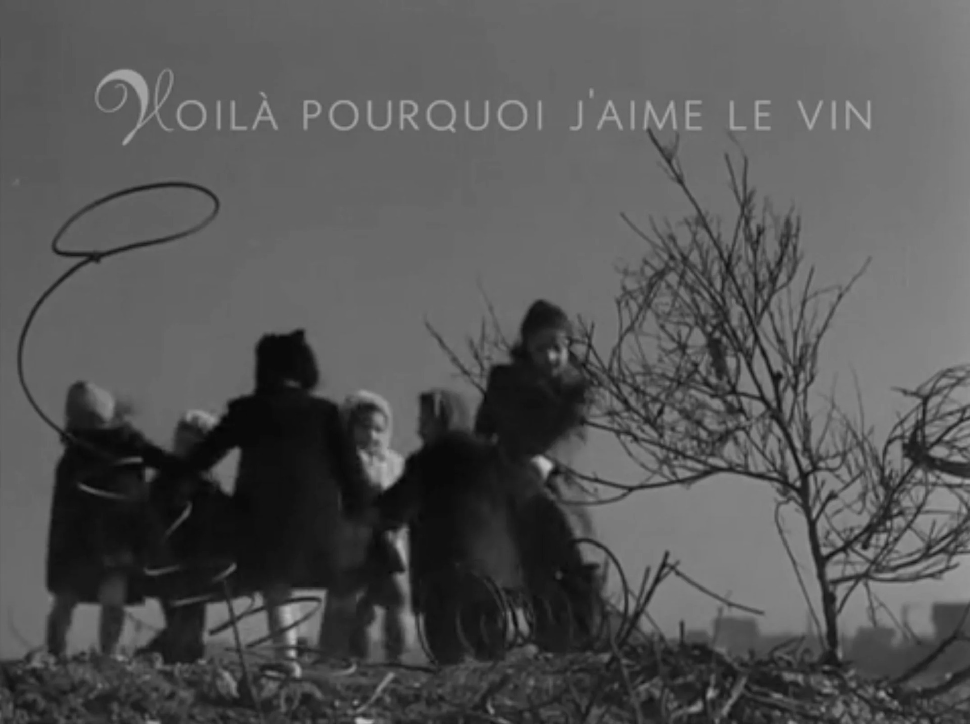 Voilà pourquoi j’aime le vin