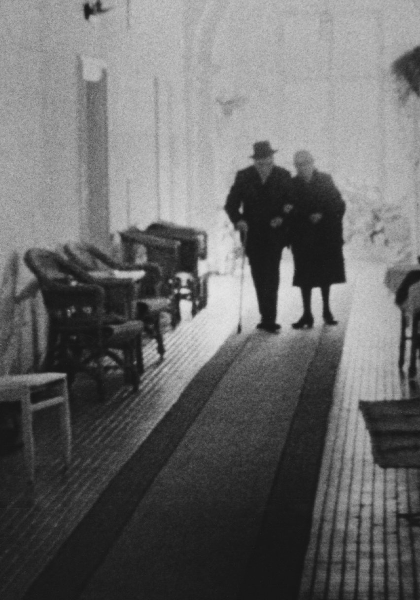 Inhabitants of Castles in Hungary in 1966