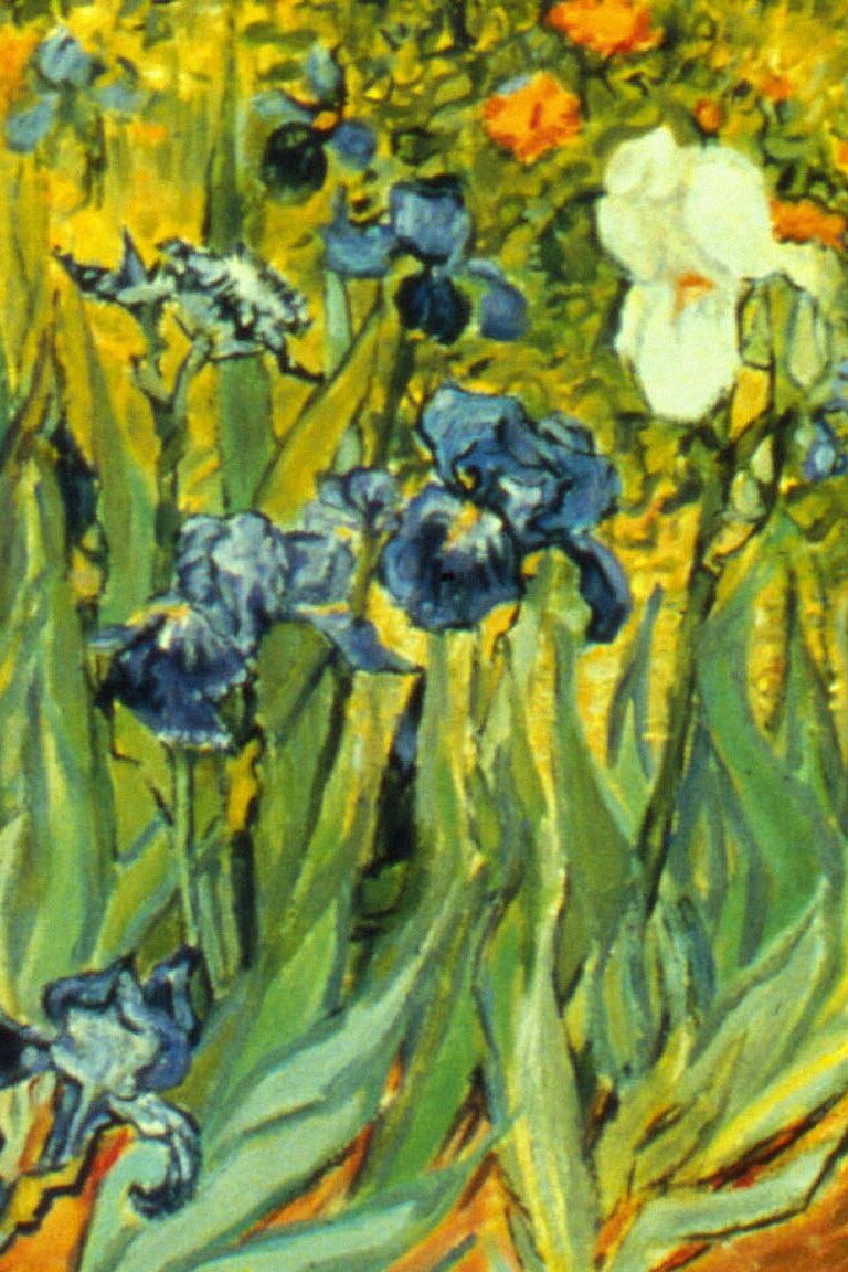 The Irises