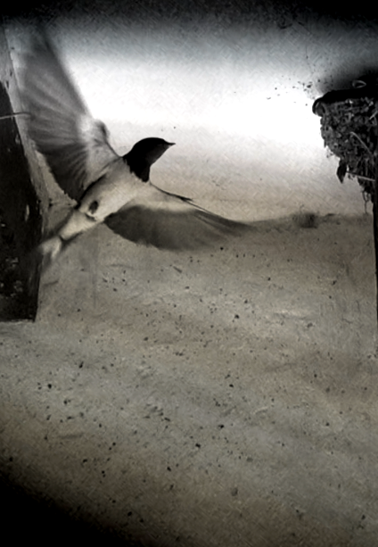 Réminiscence