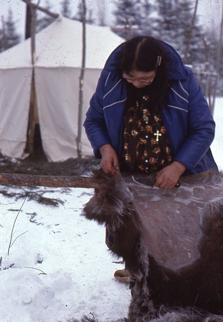 Pipon (l'hiver)