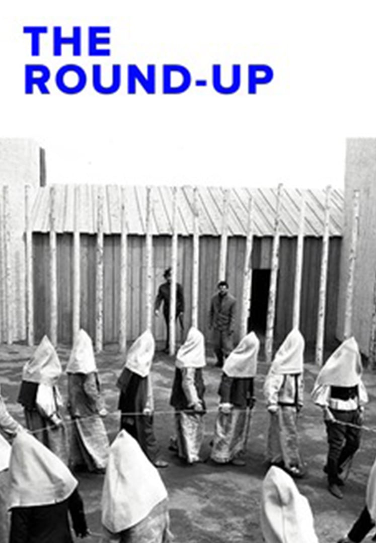 The Round-Up