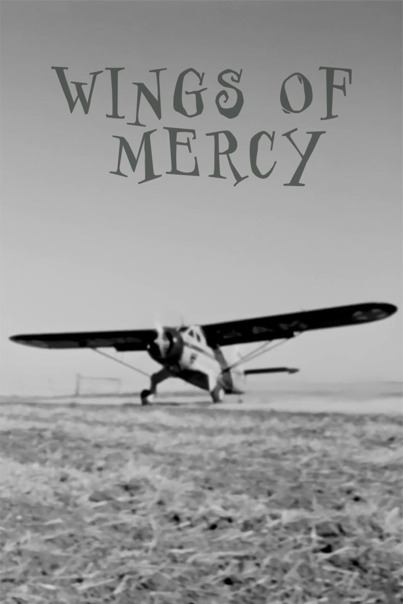 Wings of Mercy