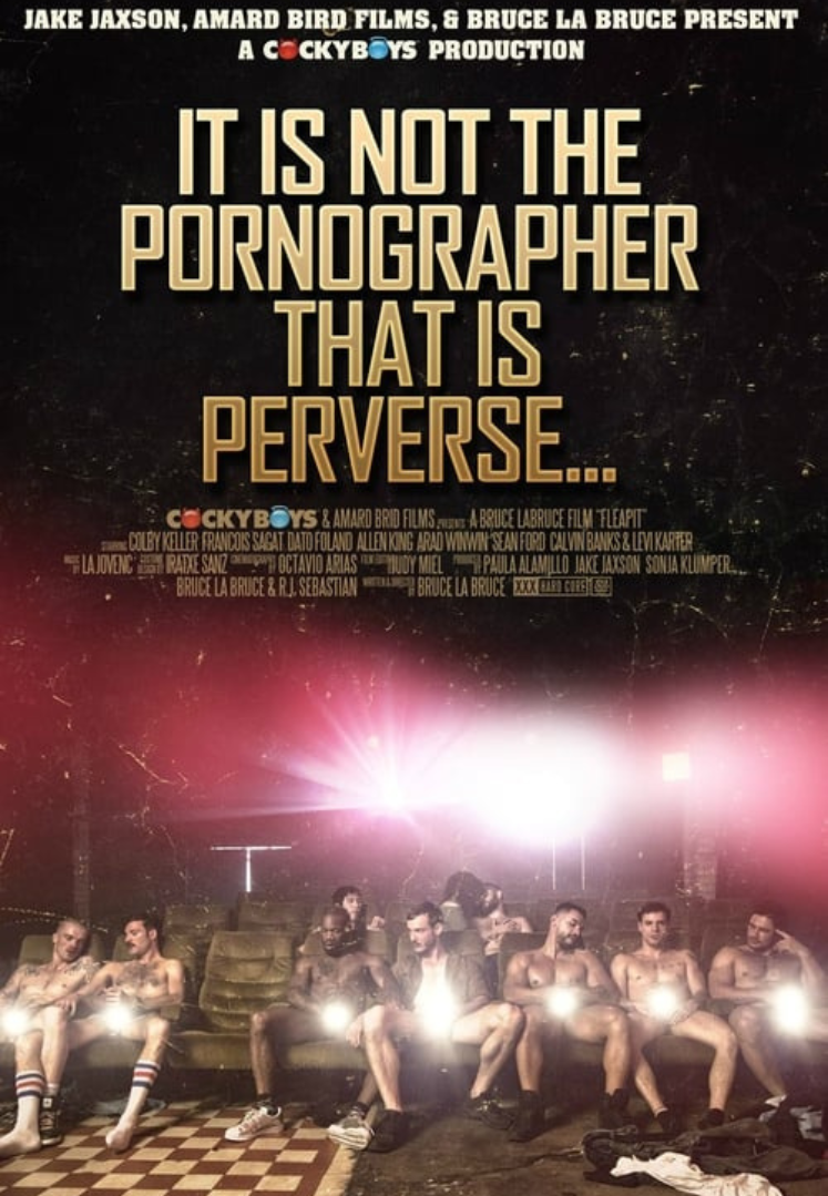 It is Not the Pornographer That is Perverse...