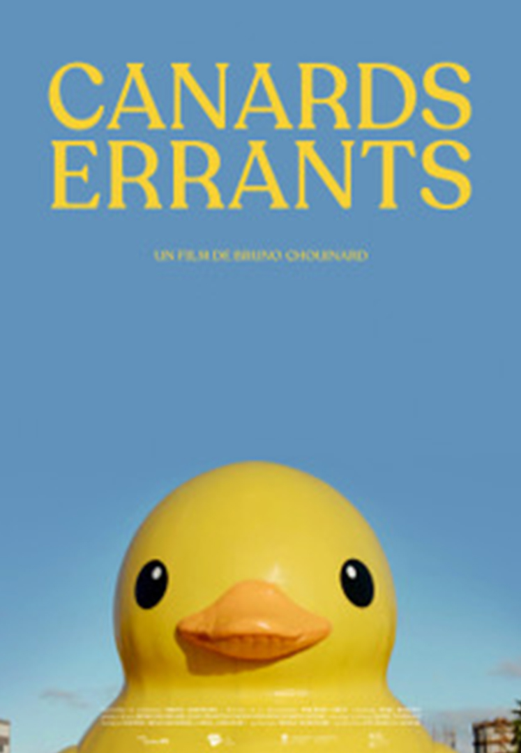 Canards errants