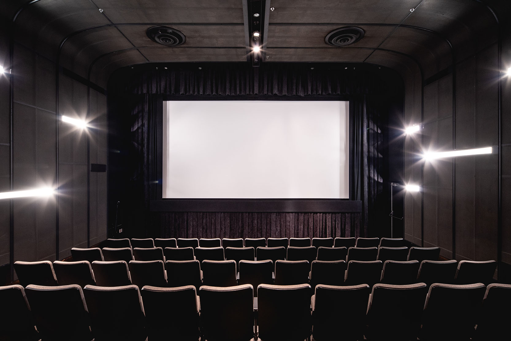 Fernand-Seguin Screening room