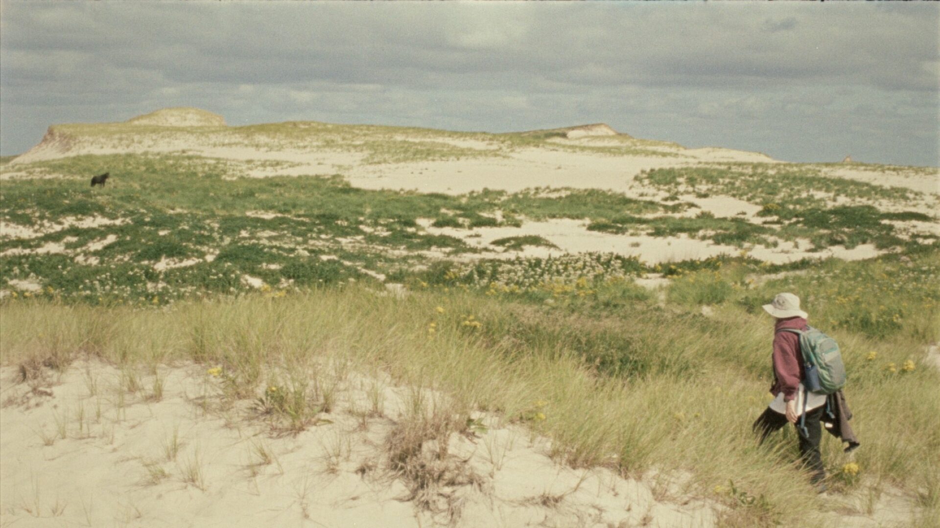 Geographies of Solitude