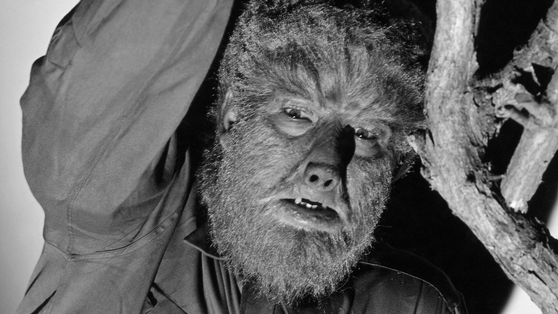 The Curse of the Werewolf (1961), Horror Film Wiki